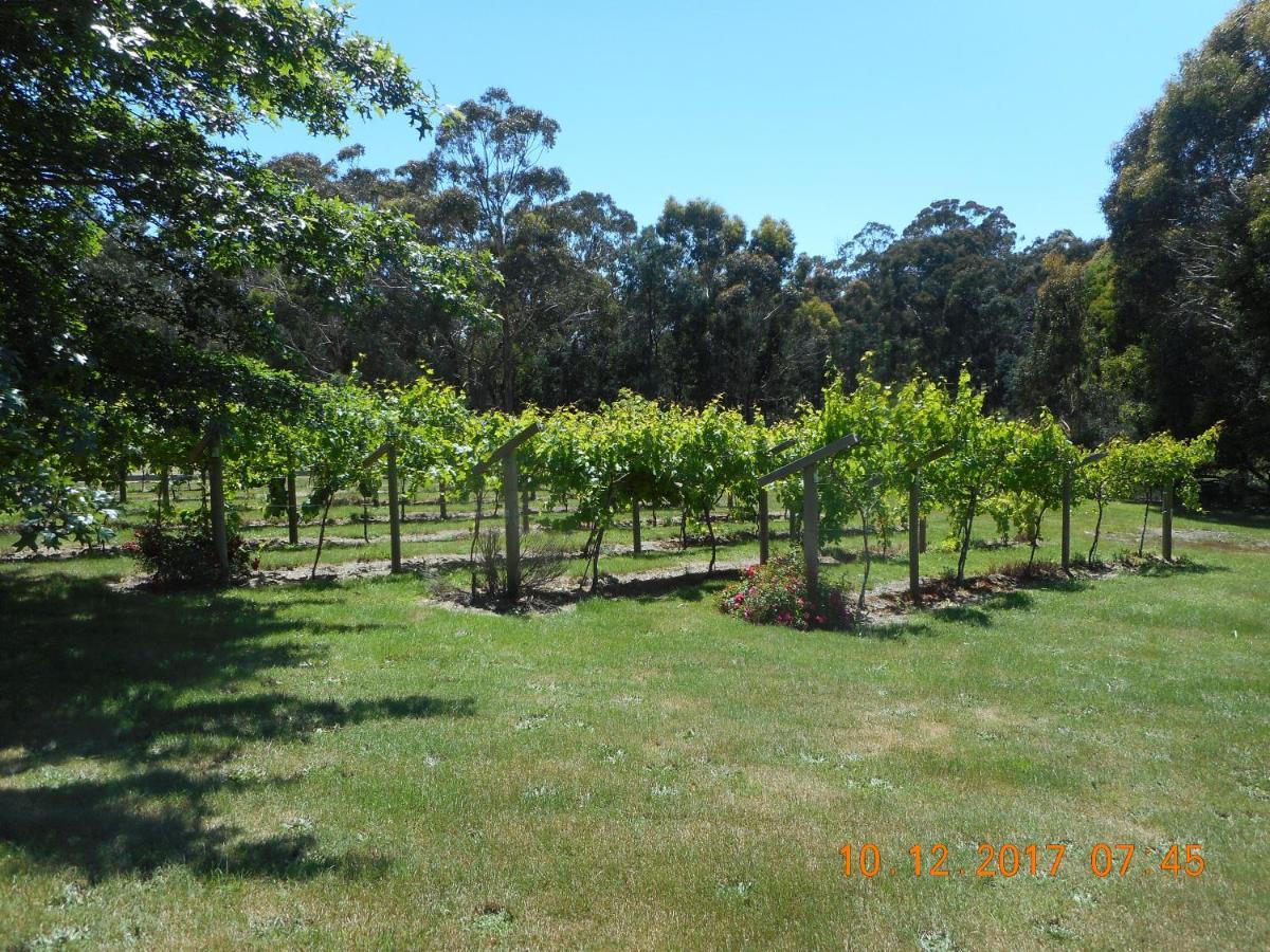 Wurrung B & B - The Cottage Woodend Exterior foto